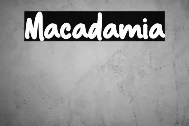 Macadamia Font examples
