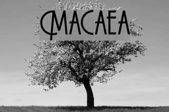Macarena Example 1