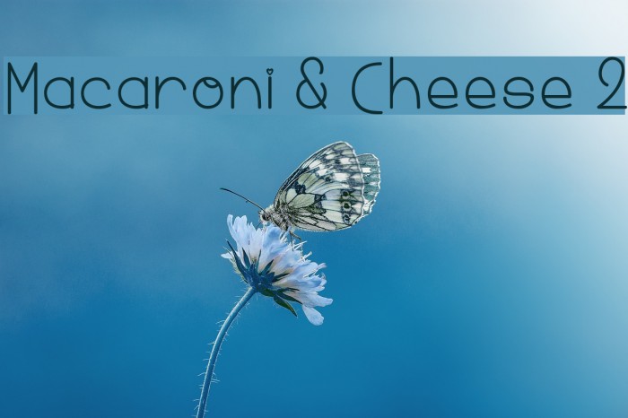 Macaroni & Cheese 2 Font examples