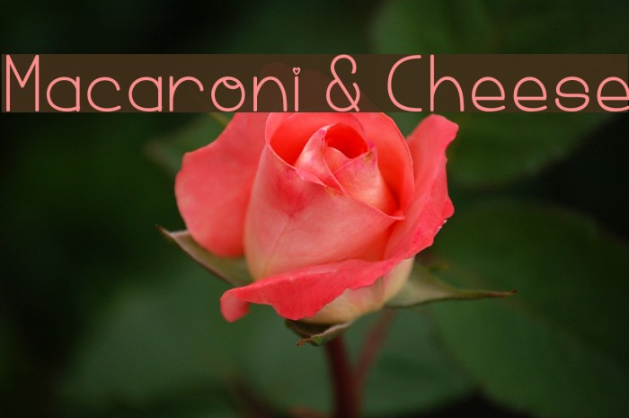 Macaroni & Cheese Font examples