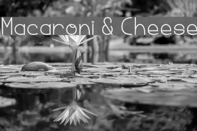 Macaroni & Cheese Font examples