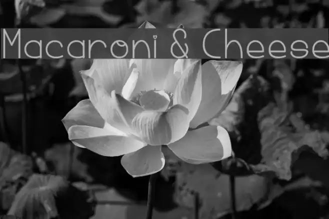 Macaroni & Cheese Font examples