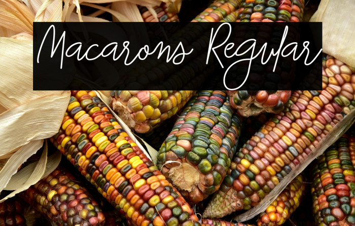 Macarons Regular Example 2