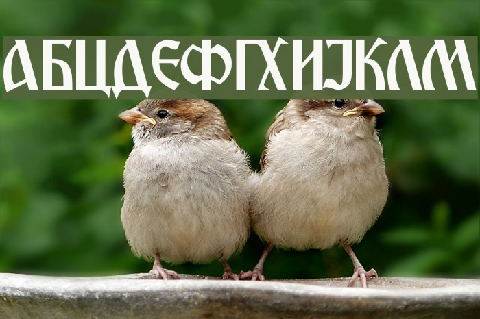 Macedonian Ancient Font examples