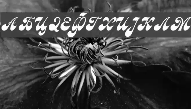 Macedonian Astra Font examples