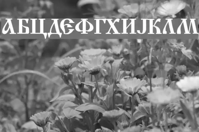 Macedonian Church Font examples