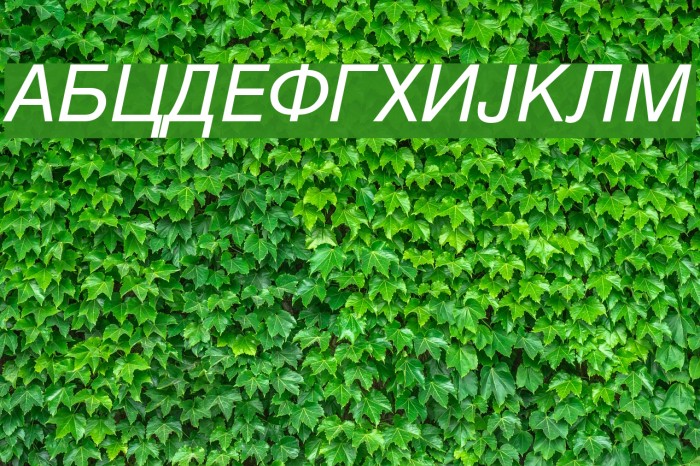 Macedonian Helv Italic Font examples