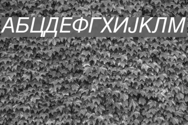 Macedonian Helv Italic Шрифта examples