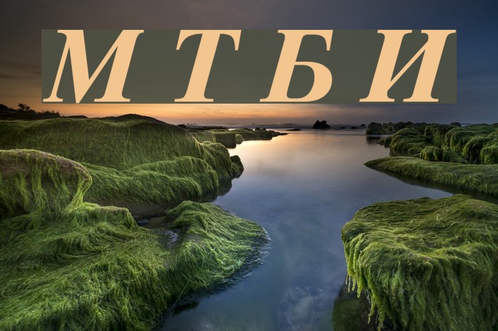Macedonian Tms Bold Italic Schriftart examples