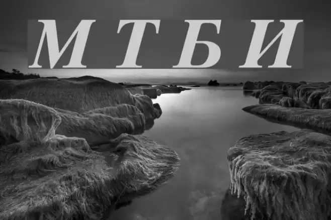 Macedonian Tms Bold Italic Font examples