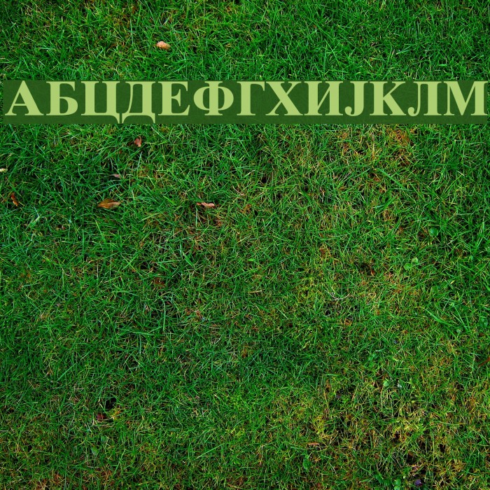 Macedonian Tms Bold Font examples