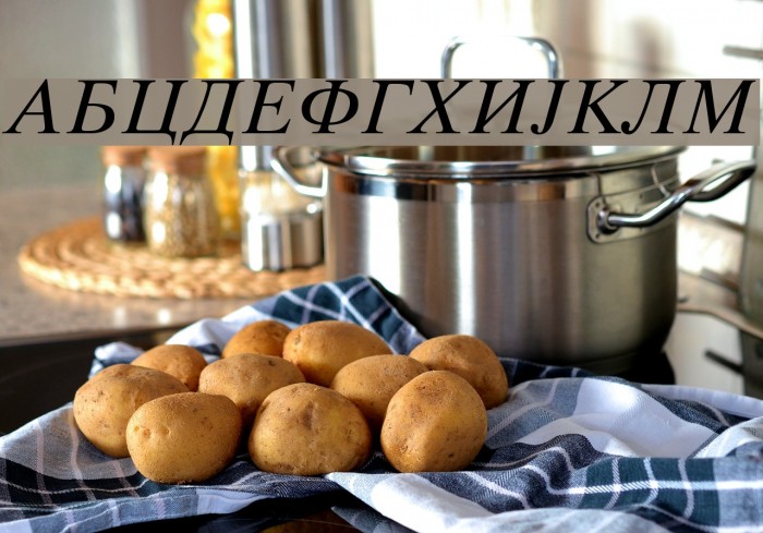 Macedonian Tms Italic Font examples