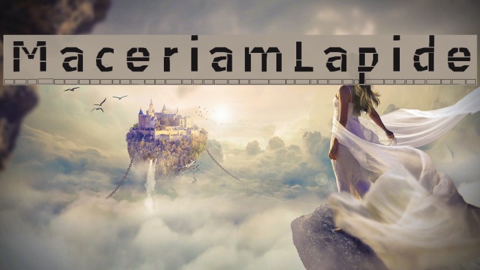 MaceriamLapide Example 2