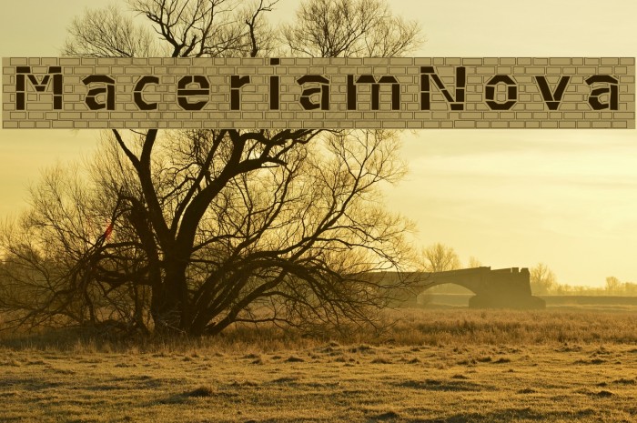 MaceriamNova Example 2