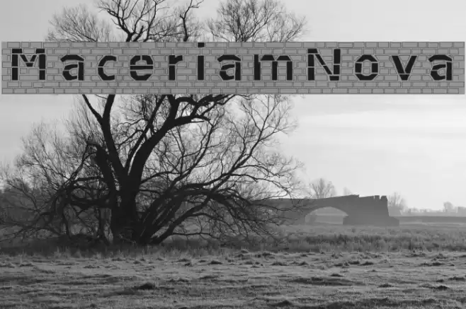 MaceriamNova Font examples