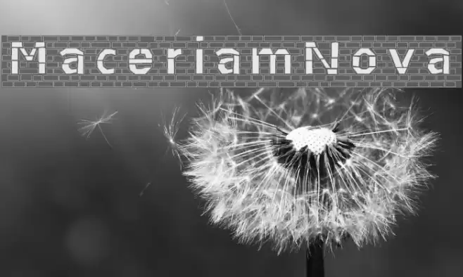 MaceriamNova Font examples