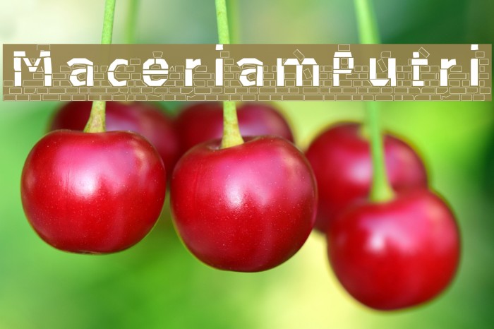 MaceriamPutri Example 1