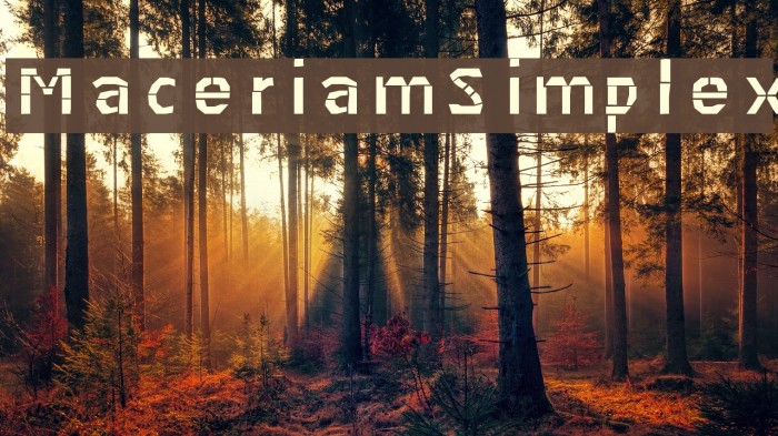 MaceriamSimplex Font examples