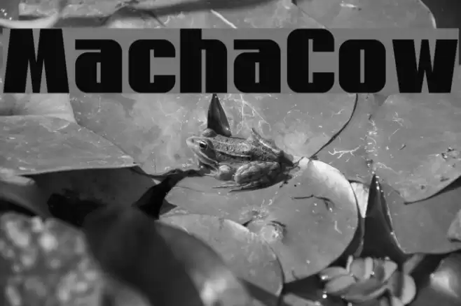 MachaCow フォント examples