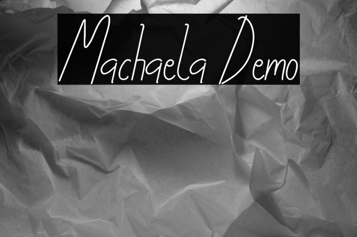 Machaela Demo Example 2