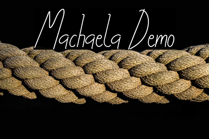 Machaela Demo Example 3