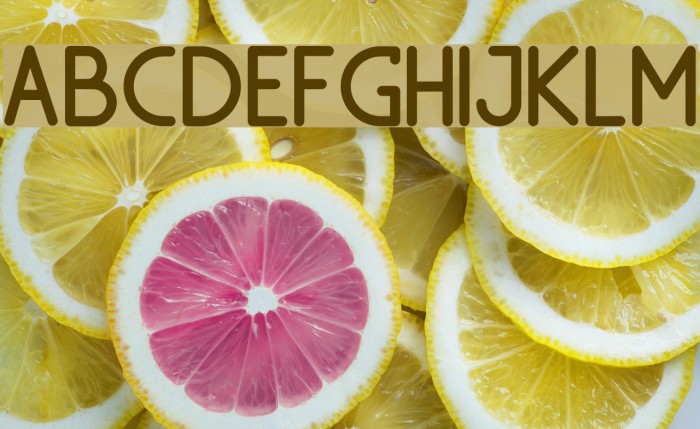 Machala Sans Font examples