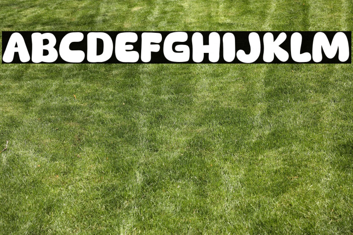 Machiato Show Example 1