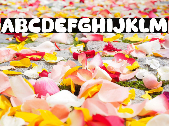 Machiato Show Example 3