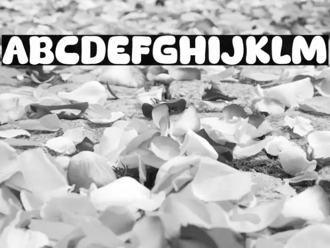 Machiato Show Font examples