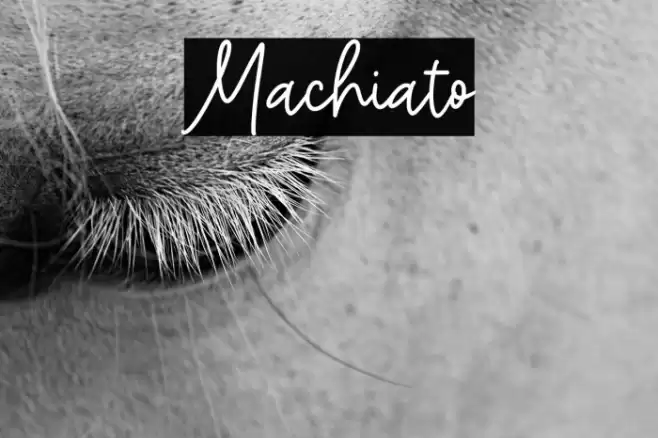 Machiato Font examples