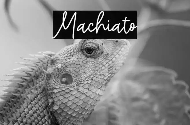 Machiato Font examples