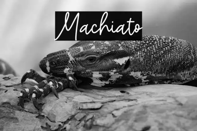 Machiato Font examples