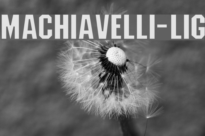 Machiavelli-Lig Font examples