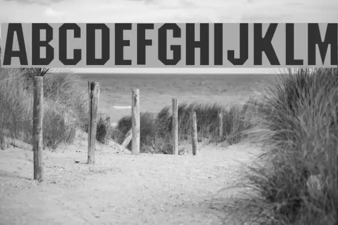 Machiavelli Regular フォント examples