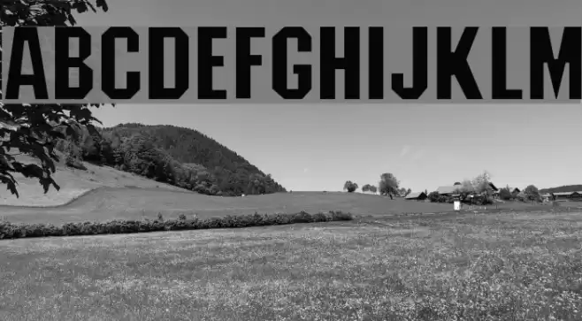 Machiavelli Regular フォント examples