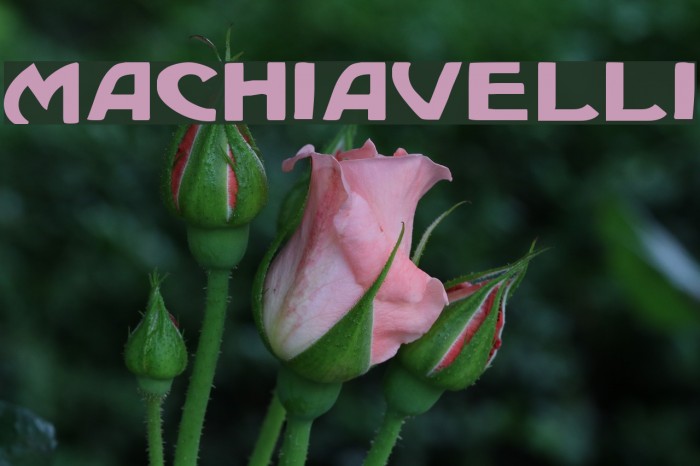 Machiavelli Font examples