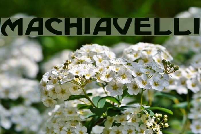 Machiavelli Font examples