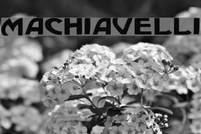 Machiavelli Font examples