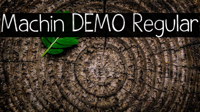 Machin DEMO Regular Example 1