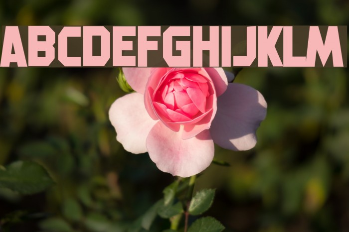 Machine Gunk Font examples