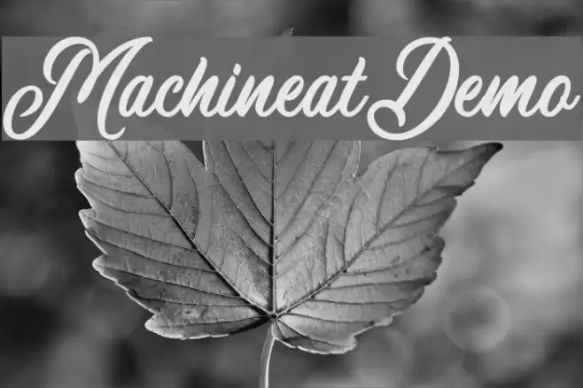 MachineatDemo Font examples
