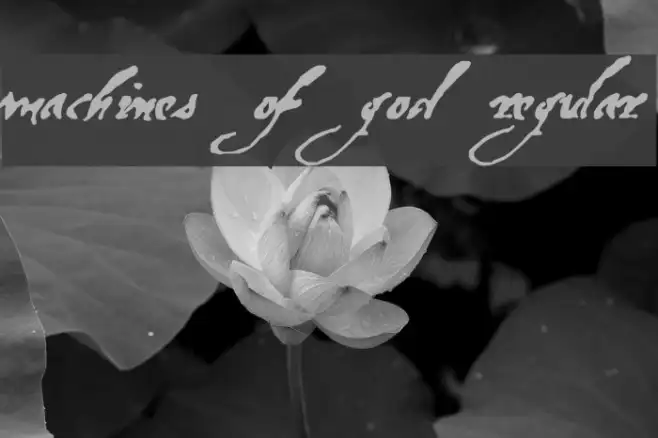 Machines Of God Regular Example 1