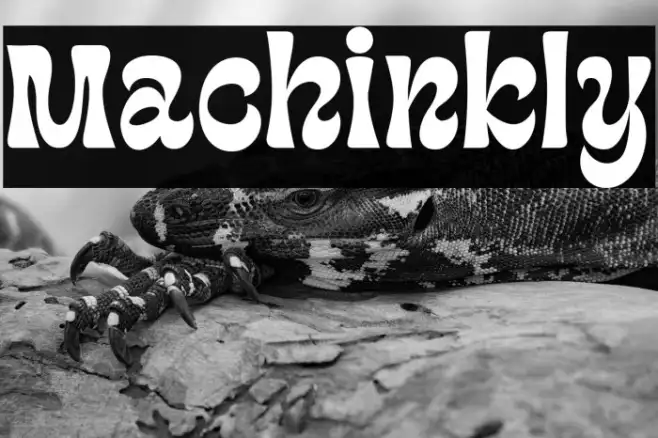 Machinkly Example 1