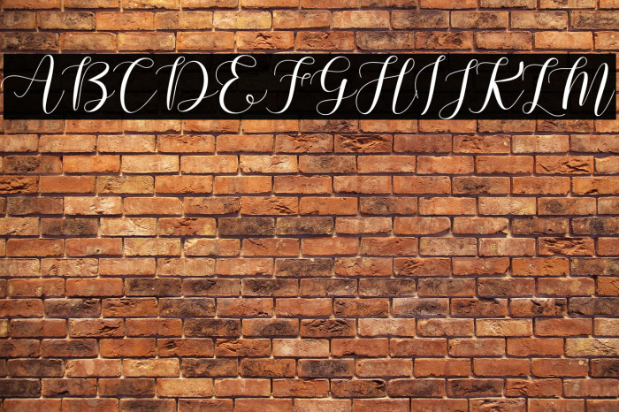 Machis Demo Example 1