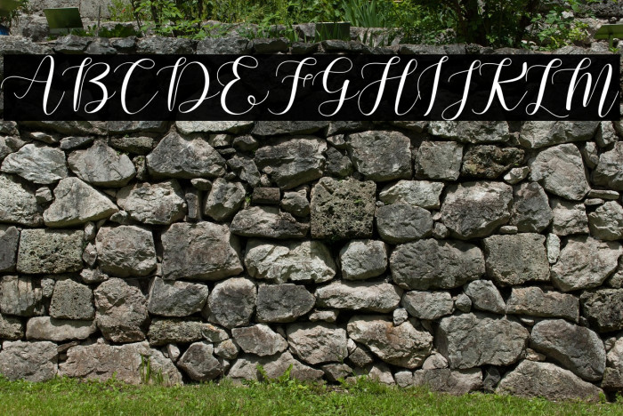 Machis Demo Example 2