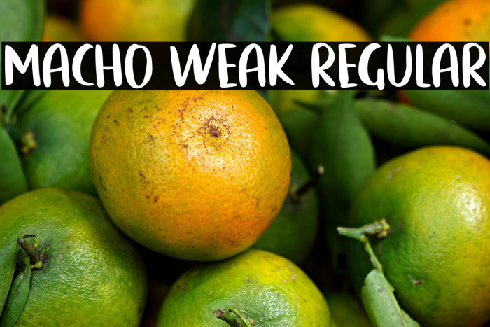 Macho Weak Regular Example 2