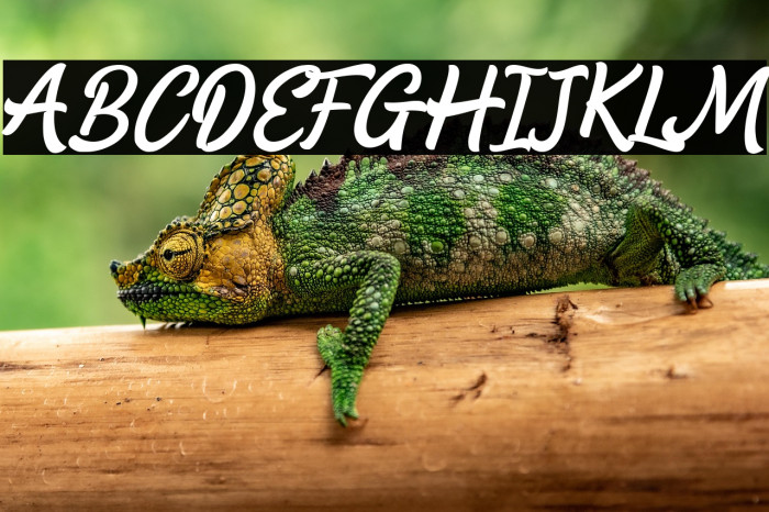 Machow_demo Example 2