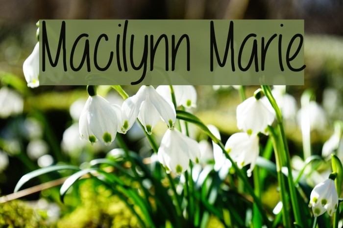 Macilynn Marie Font examples