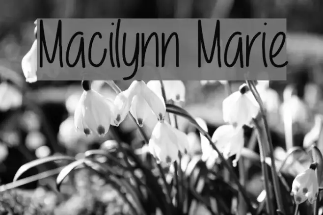 Macilynn Marie Example 2