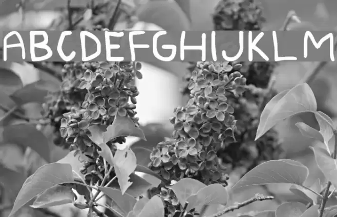 Mackan Font examples